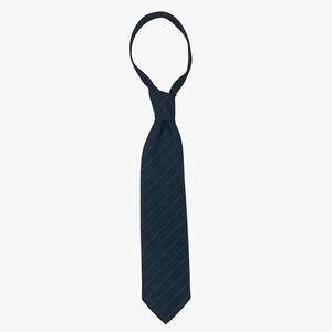 Pierre Cardin Tie